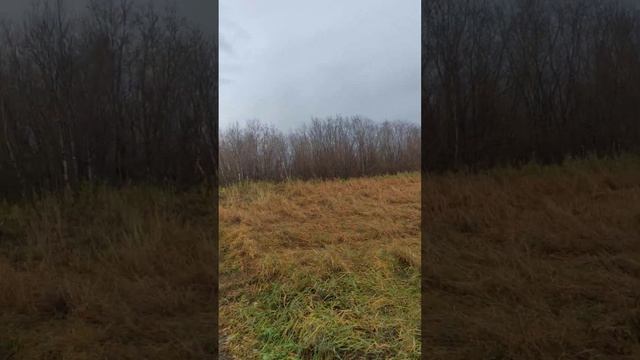 Воркута Воргашор смотреть онлайн