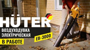 Воздуходувка электрическая Huter EB-3000 в работе