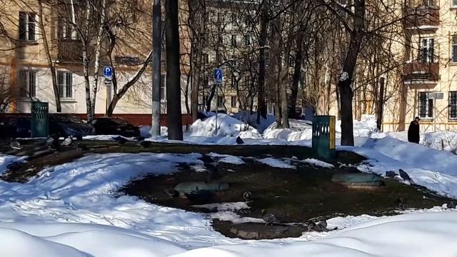 В Москве весна! Тает снег! Февраль 2022 года. смотреть онлайн