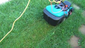 Bosch Rotak 43 Schnitt