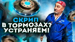 Замена тормозных дисков и колодок