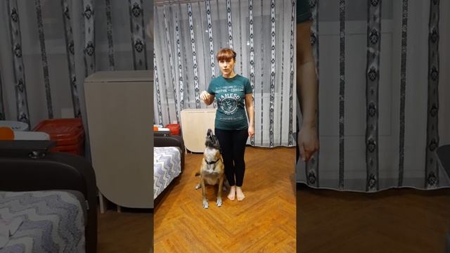 команда Фус - Рядом