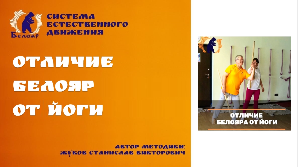 Отличие Белояр от Йоги
