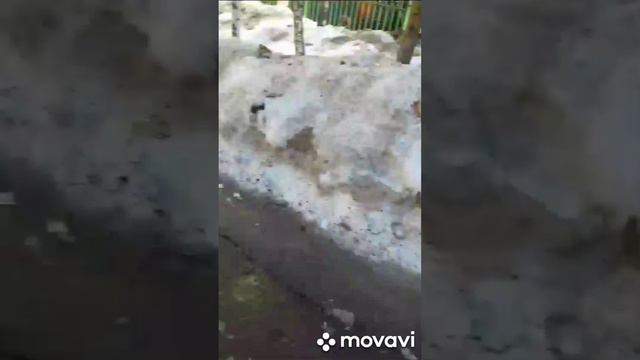 Автохамы в городе Красногорске