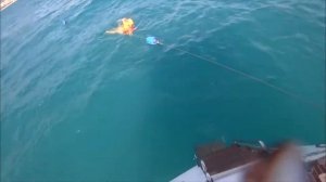 Прогулка на яхте  в Геленджике