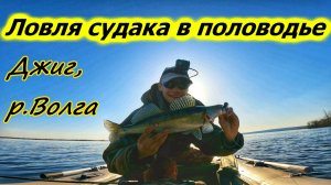 СУДАК НА ДЖИГ ВЕСНОЙ /РЫБАЛКА В ПОЛОВОДЬЕ НА ВОЛГЕ/ КАК НАЙТИ СУДАКА ПО "БОЛЬШОЙ" ВОДЕ/САМАРСКАЯ ОБЛ