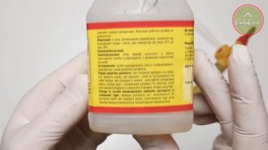 Гусеница на самшите. ЧТО ДЕЛАТЬ?