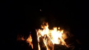 Страшные Истории На Ночь - Выселение