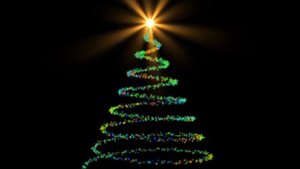 Почему ёлка символ нового года? Как появилась традиция?