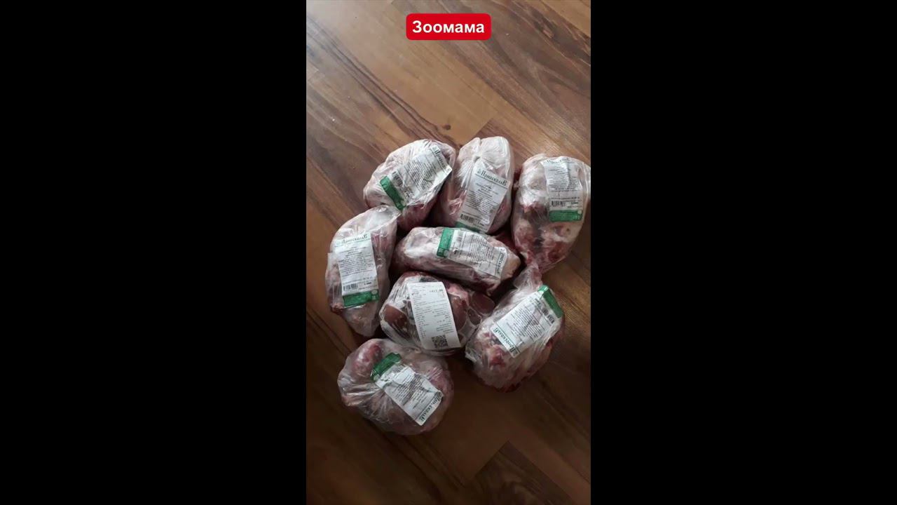 Отчеты о тратах на зверюшек и о проделанной работе (с 1 сентября по 11 октября) ЧАСТЬ- 1