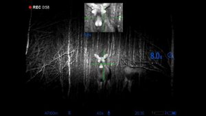 Охота на лосей с Pulsar Digex N455