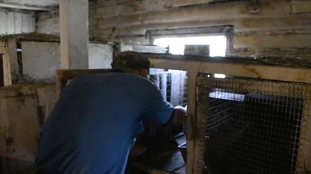 DSC 5991.mp4 смотреть онлайн