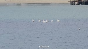 Galaxy S23 Ultra vs S22 Ultra vs S21 Ultra vs S20 Ultra Camera Test