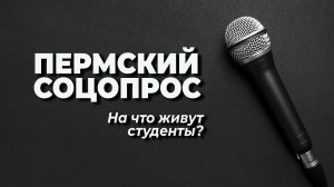 Пермский соцопрос: на что уходит стипендия?