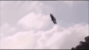 Жуткие нападения орла на людей и животных снятых на камеру 2 часть. Орел в деле.