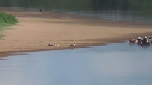 Чердынь. Городище. Колокольня. 25 июня 2021
