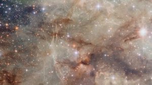 Hubblecast 44  Хаббл следит за Туманностью Тарантул