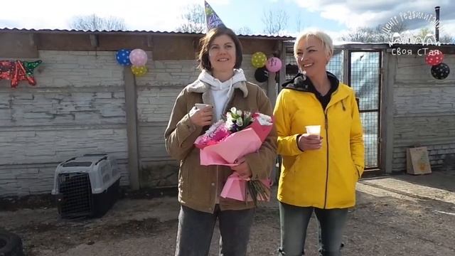 Самый душевный и трогательный День Рождения в "Своей Стае" смотреть онлайн
