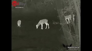 InfiRay Xeye E3 Max V2.0 | Termowizor