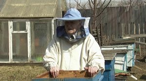 Ветеран из Челябинска держит пасеку и каждый день учит иностранные языки
