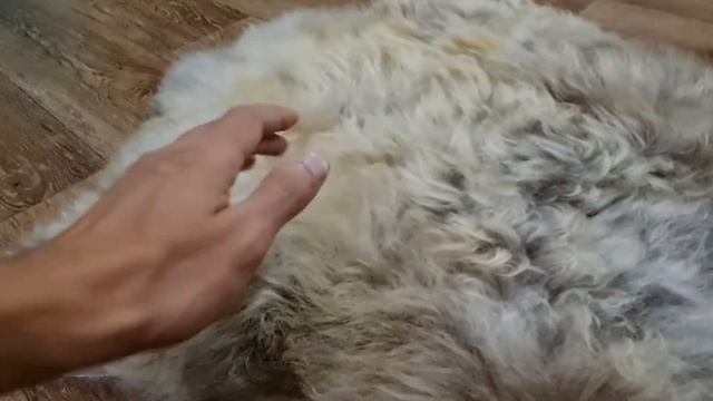 ШКУРА ОВЕЧЬЯ ДЛЯ ДОМА "ПШЕНИЧНАЯ" (КОД: 4530) смотреть онлайн