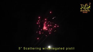 5" Scattering w/variegated pistil