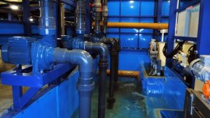 Ферма по выращиванию австралийских раков. Новые технологии и автоматизация. Г. Воронеж