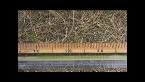Тест катушек NEL 18.75 кГц для Minelab x-Terra