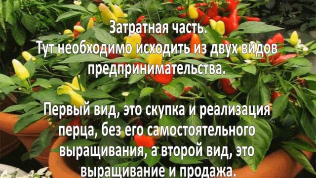 Выращивание перца. Как вырастить перец? смотреть онлайн