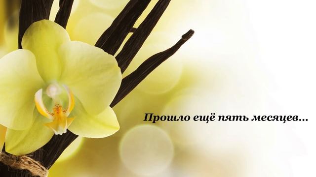 Посев орхидей в стерильной среде (фласка)… смотреть онлайн