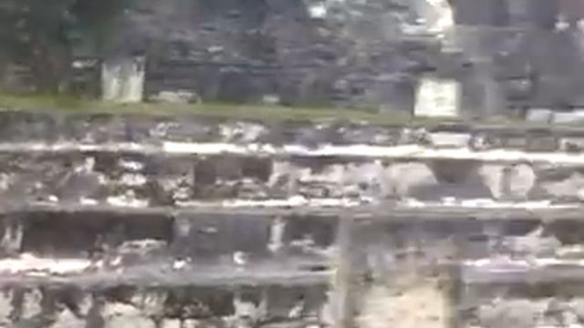 JC at Tikal, Peten, Guatemala смотреть онлайн