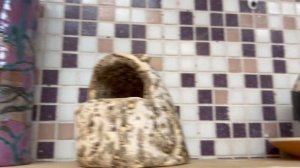 ? САМАЯ ИЗВЕСТНАЯ Художественная школа за Уралом / Андрей Задерий