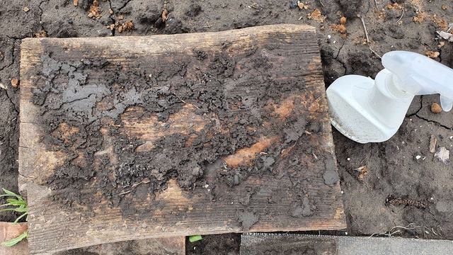 Слизни.Обязательно сделать в начале сезона. смотреть онлайн