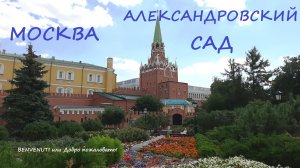 Прогулка. Москва. Александровский сад. Кремль.