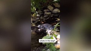 Randonautica.ТОП 11 ЖУТКИХ ВИДЕО ИЗ TIKTOK.