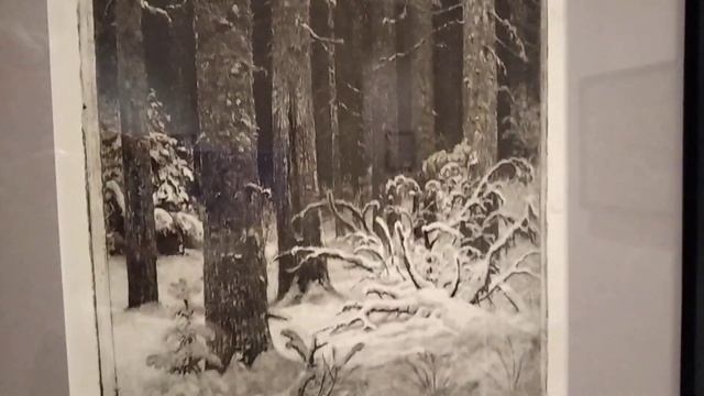 Выставка И.И.Шишкина в Русском музее. Рассматриваем графику. смотреть онлайн