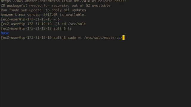 Learning SaltStack - top.sls (1 of 2) смотреть онлайн