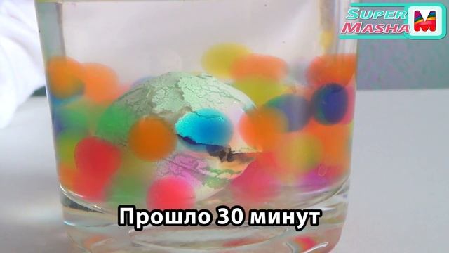 ✿ ОРБИЗ ❤ Яйцо с ДИНОЗАВРОМ вылупляется в воде ► Шарики ORBEEZ balls Egg hatch dinosaurs in water смотреть онлайн