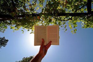 Чтение книг оказывает на мозг эффект реактивного ускорителя.