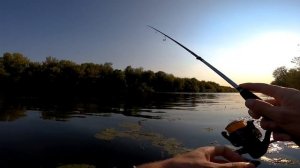 Ловлю щуку и окуня на волшебную приманку | Спиннинг в сентябре | Осенний хищник