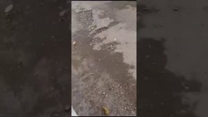 Форд транзит установили двигатель от мазды.