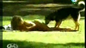 Озабоченный песик