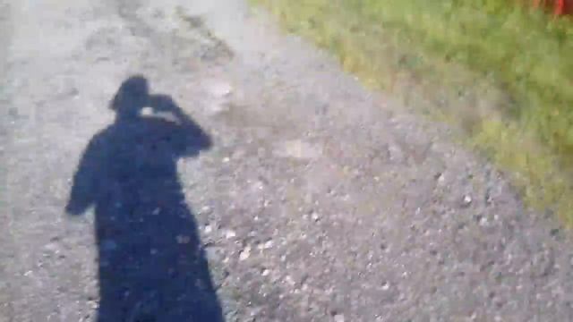 Школьники играют в бешеный футбол!!!!!Часть 2## смотреть онлайн