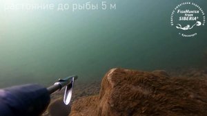 Форель. Енисей.