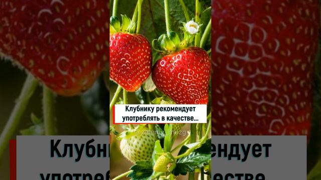 Клубнику рекомендует употреблять в качестве