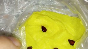 КАК ВЫРАСТИТЬ ИЗ СЕМЕЧЕК ЛЮБОГО ЯБЛОКА - ЯБЛОНИ.Как прорастить семена айвы