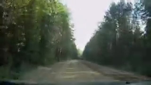 2 Дорога Волхов Кириши по правому берегу реки Волхов