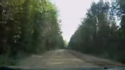 2 Дорога Волхов Кириши по правому берегу реки Волхов