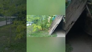 Прогулка по дино парку Парк Сказка