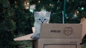 Добро твори - Виктория Николаева